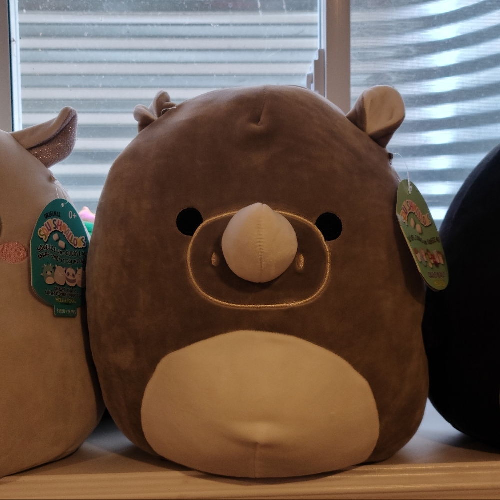 12" Irving squishmallow bnwt